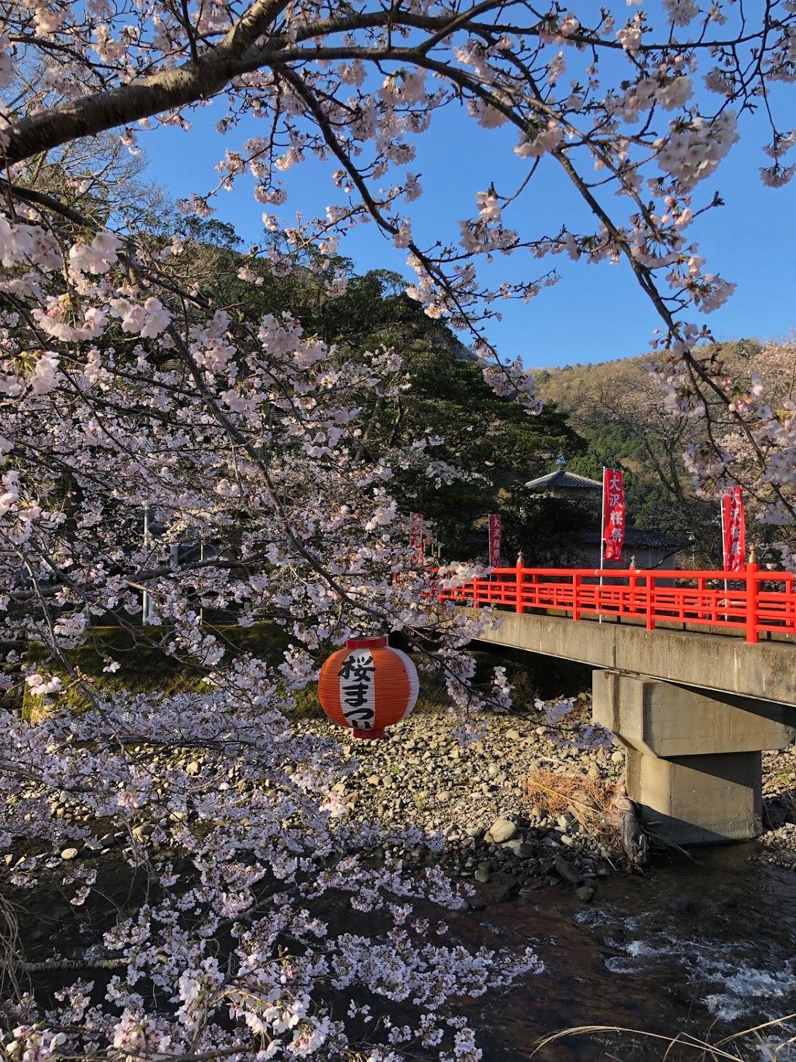 Cover Image for 民宿 なか川