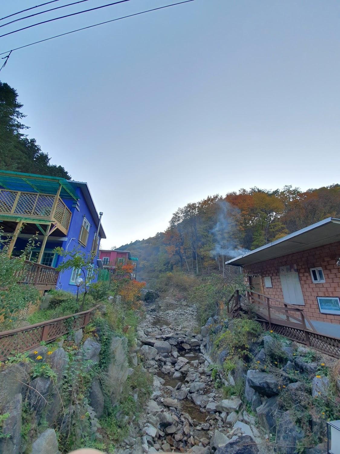 Cover Image for 양평또오개애견펜션