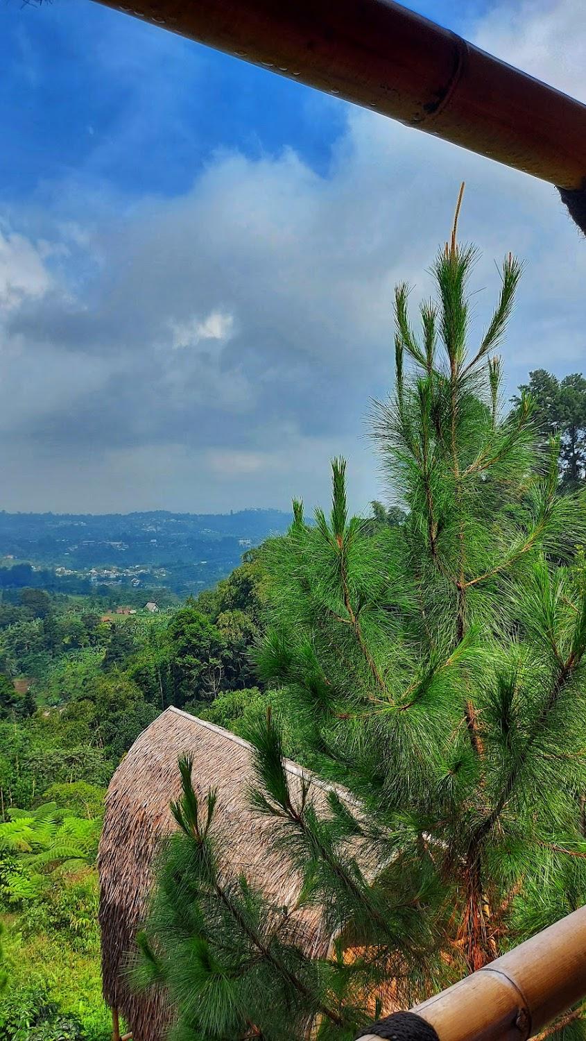 Cover Image for D'BUNGUR HILLS