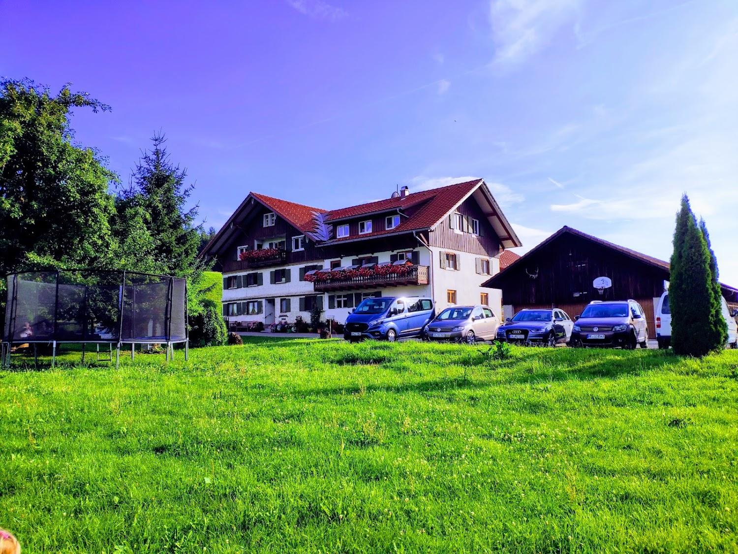 Cover Image for Finkelhof