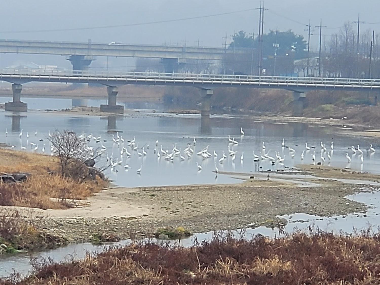 Cover Image for 스위트모텔