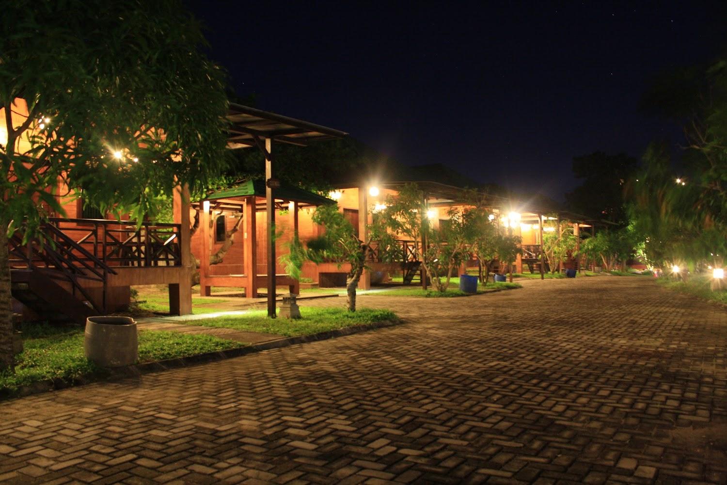Cover Image for Puri Ansell