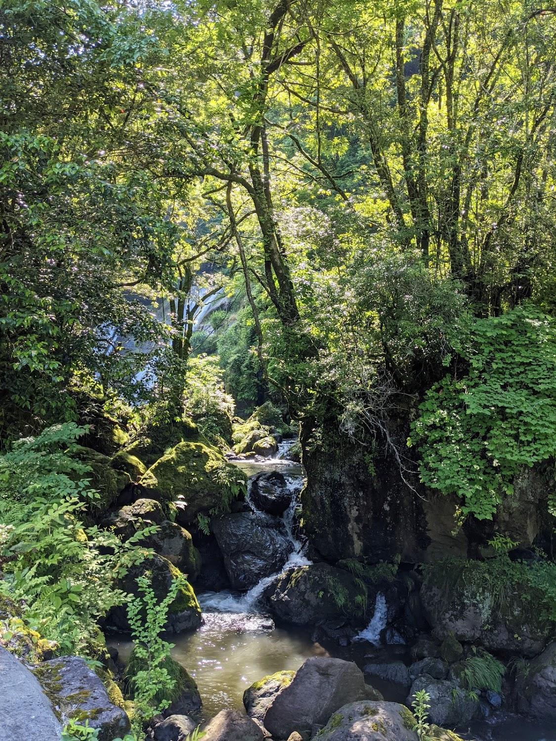 Cover Image for Hinatamenosato Camping Park