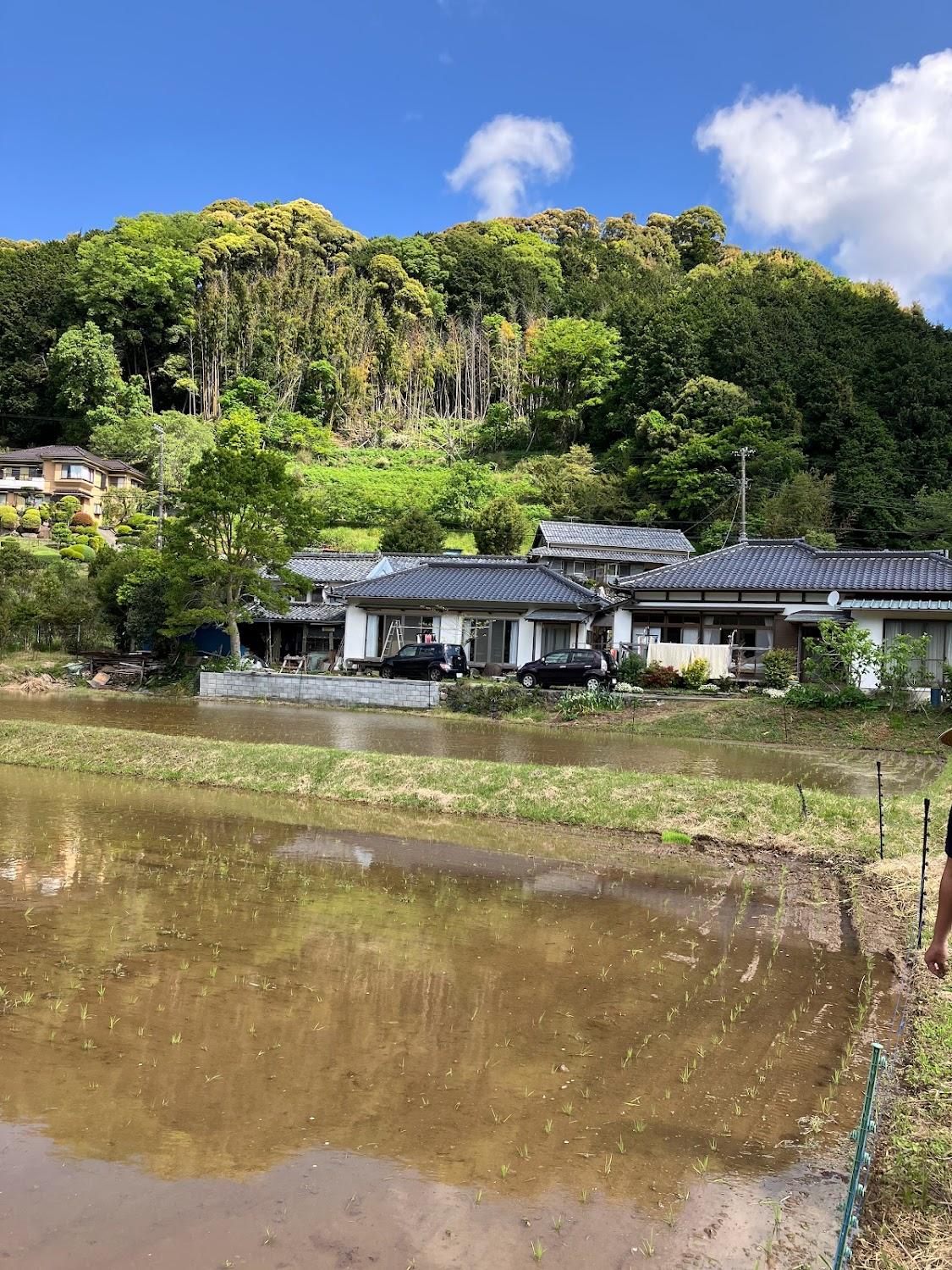 Cover Image for ペンションまるみ家