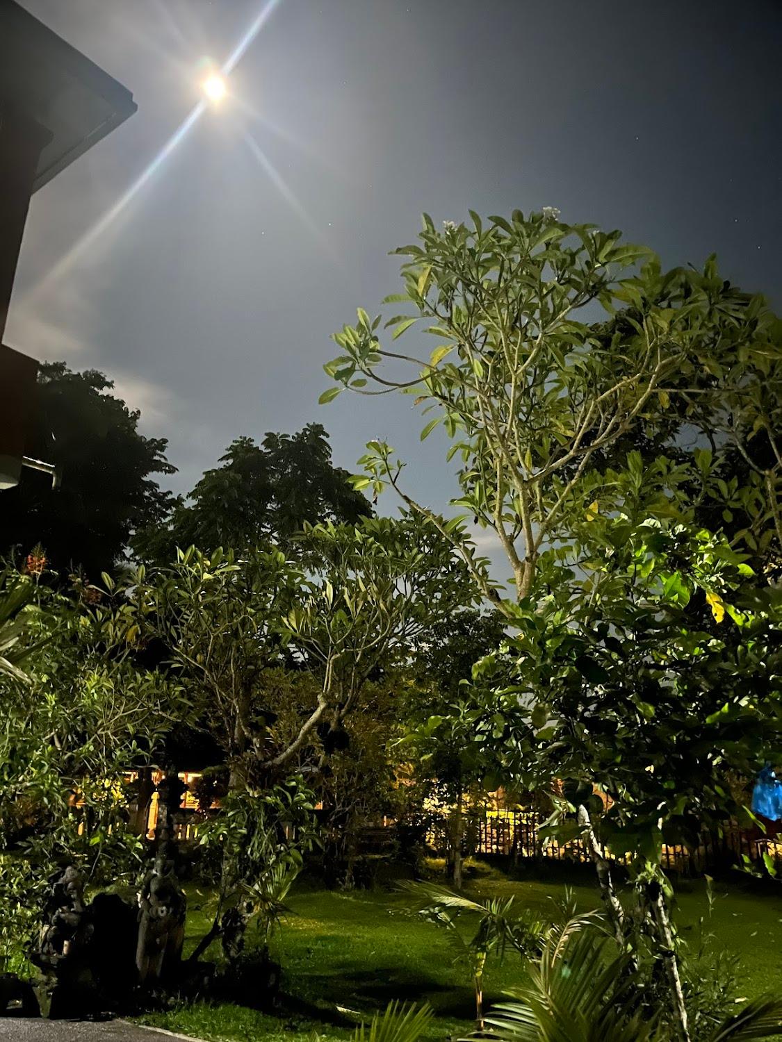 Cover Image for Lekok house