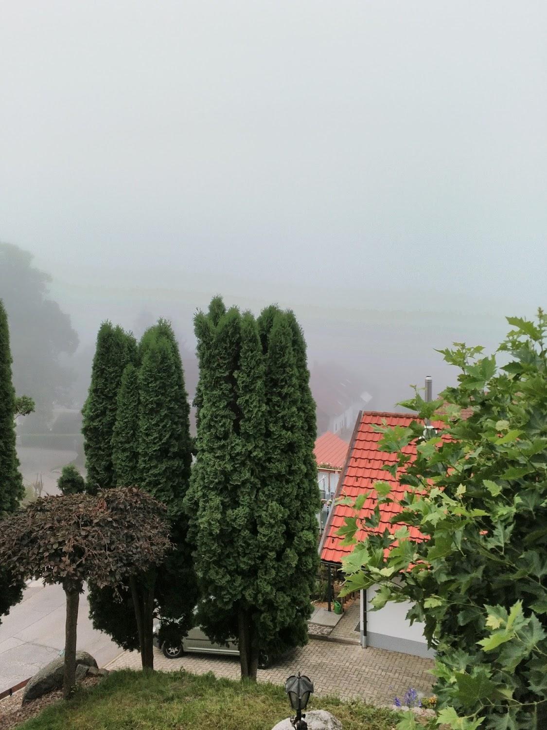 Cover Image for Haus Rehwinkel