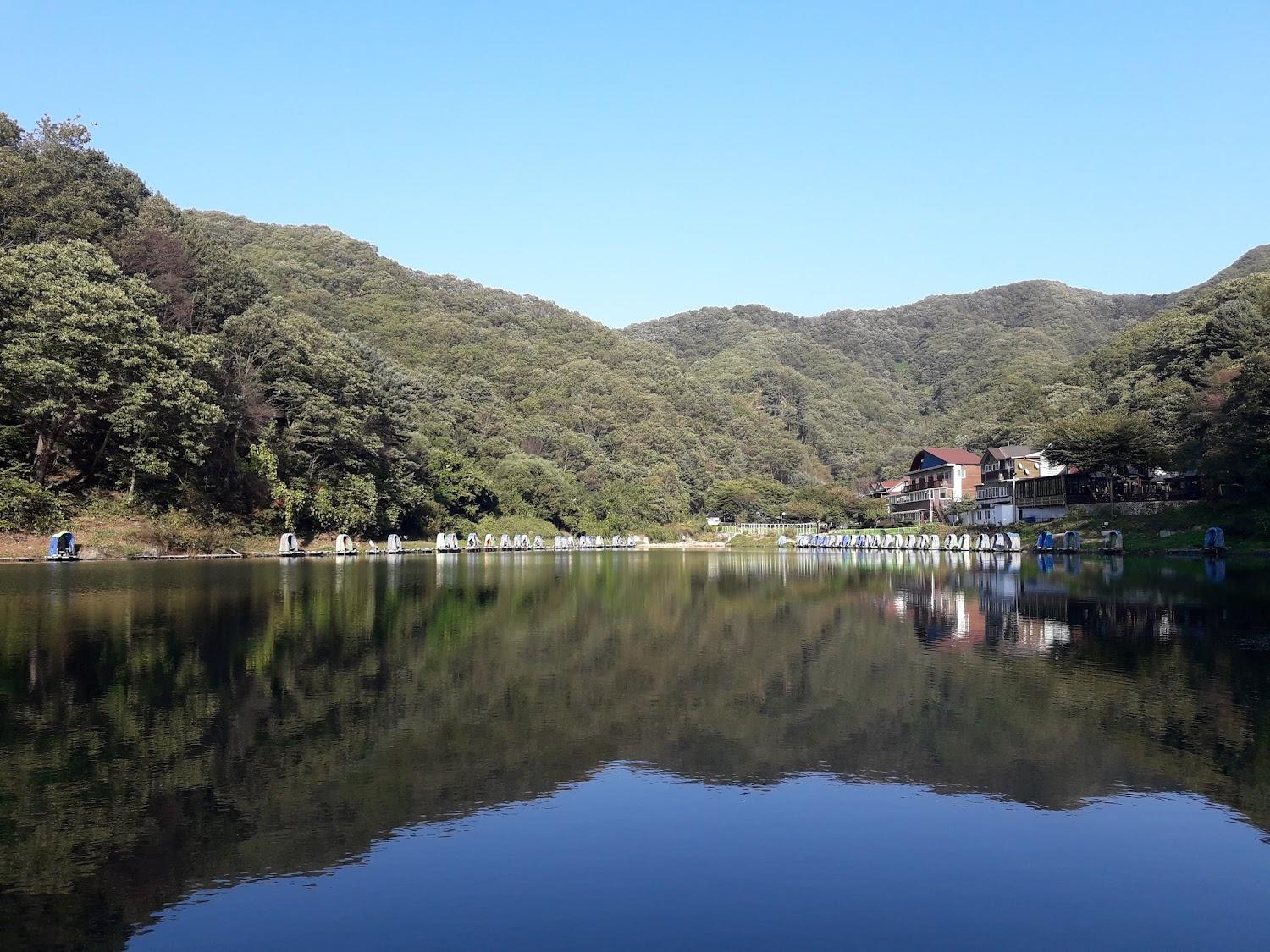 Cover Image for 가평 숲속의호수펜션