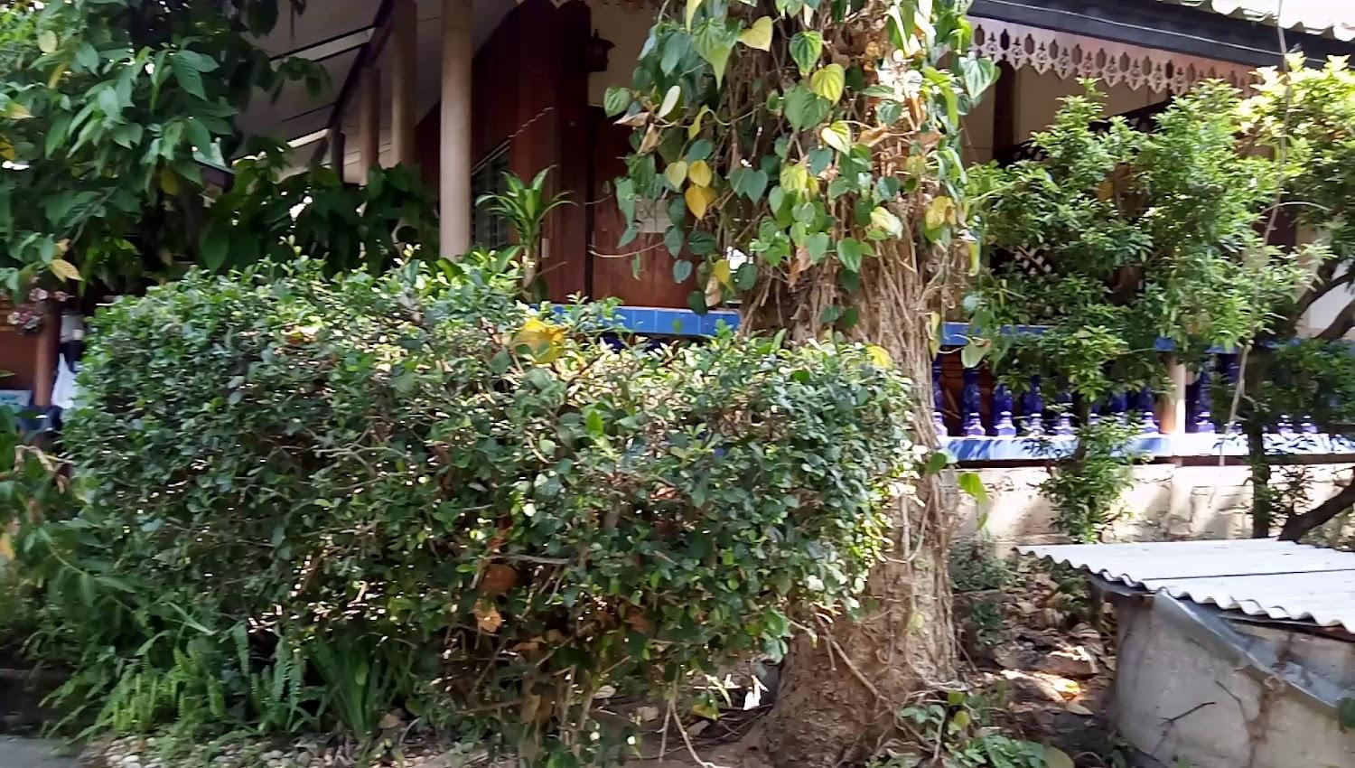 Cover Image for Pravee's House Resort