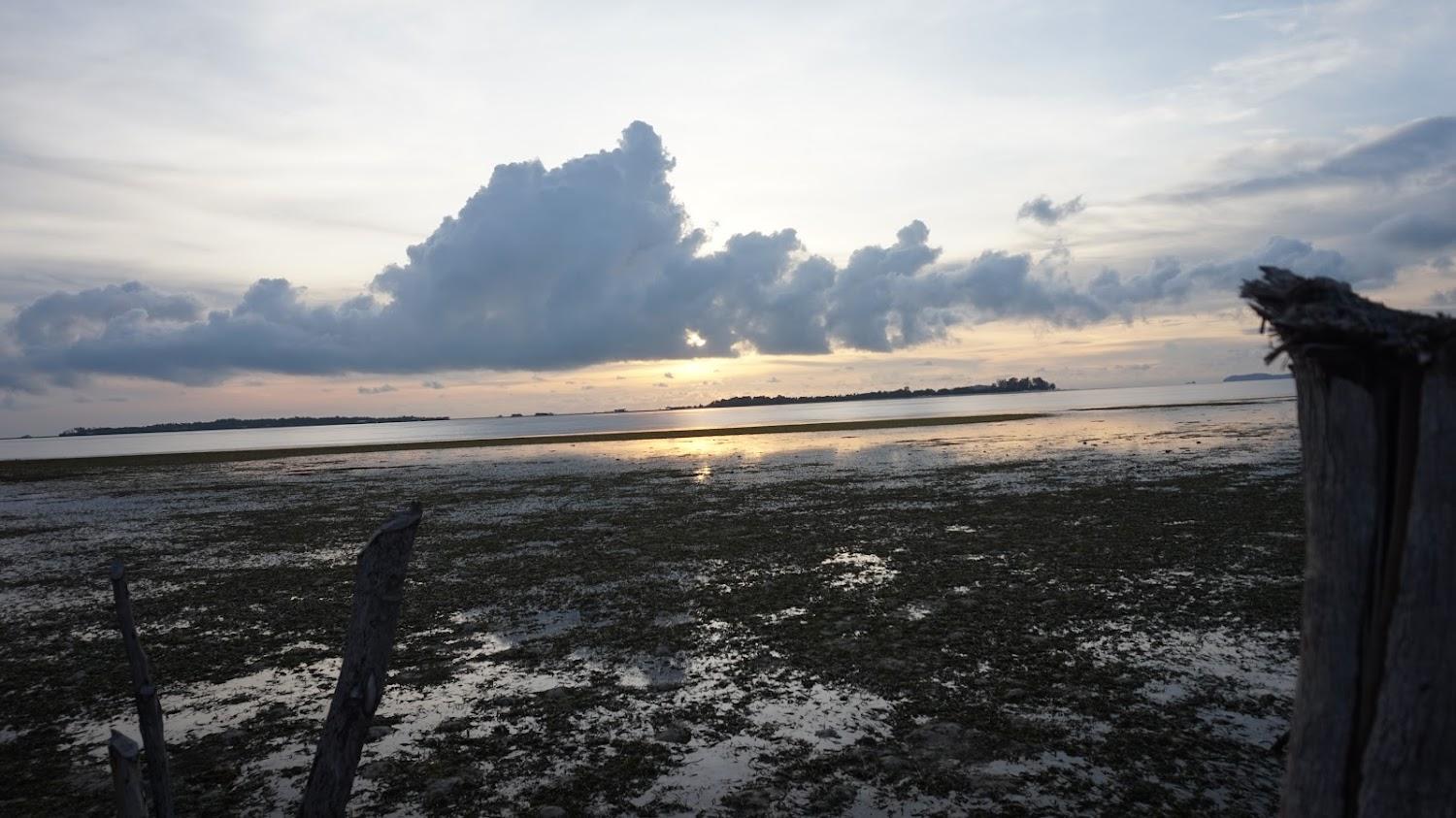 Cover Image for Bamboo Beach Restaurant And Home stay