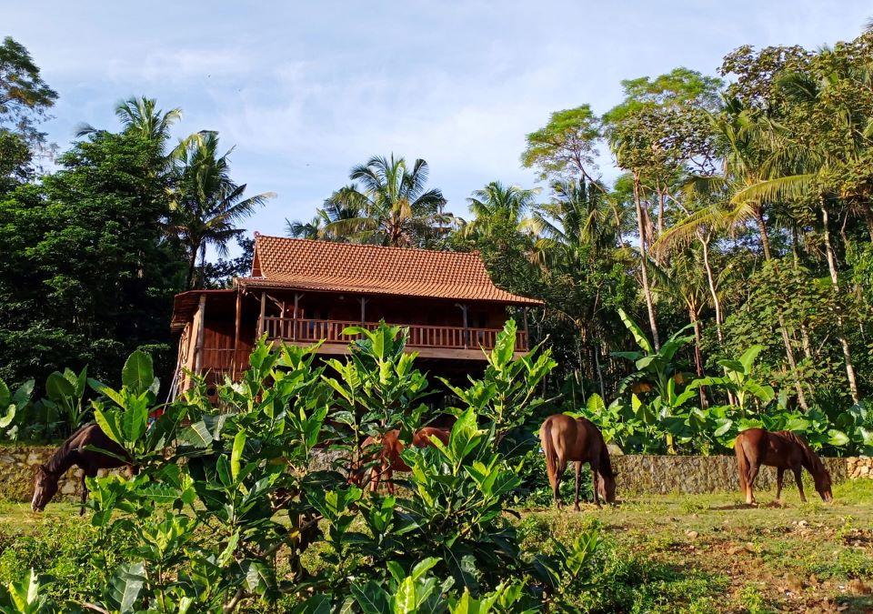 Cover Image for Havana Horses Lodge