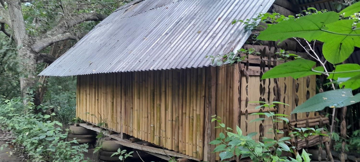 Cover Image for Ricky Cowboy's Homestay