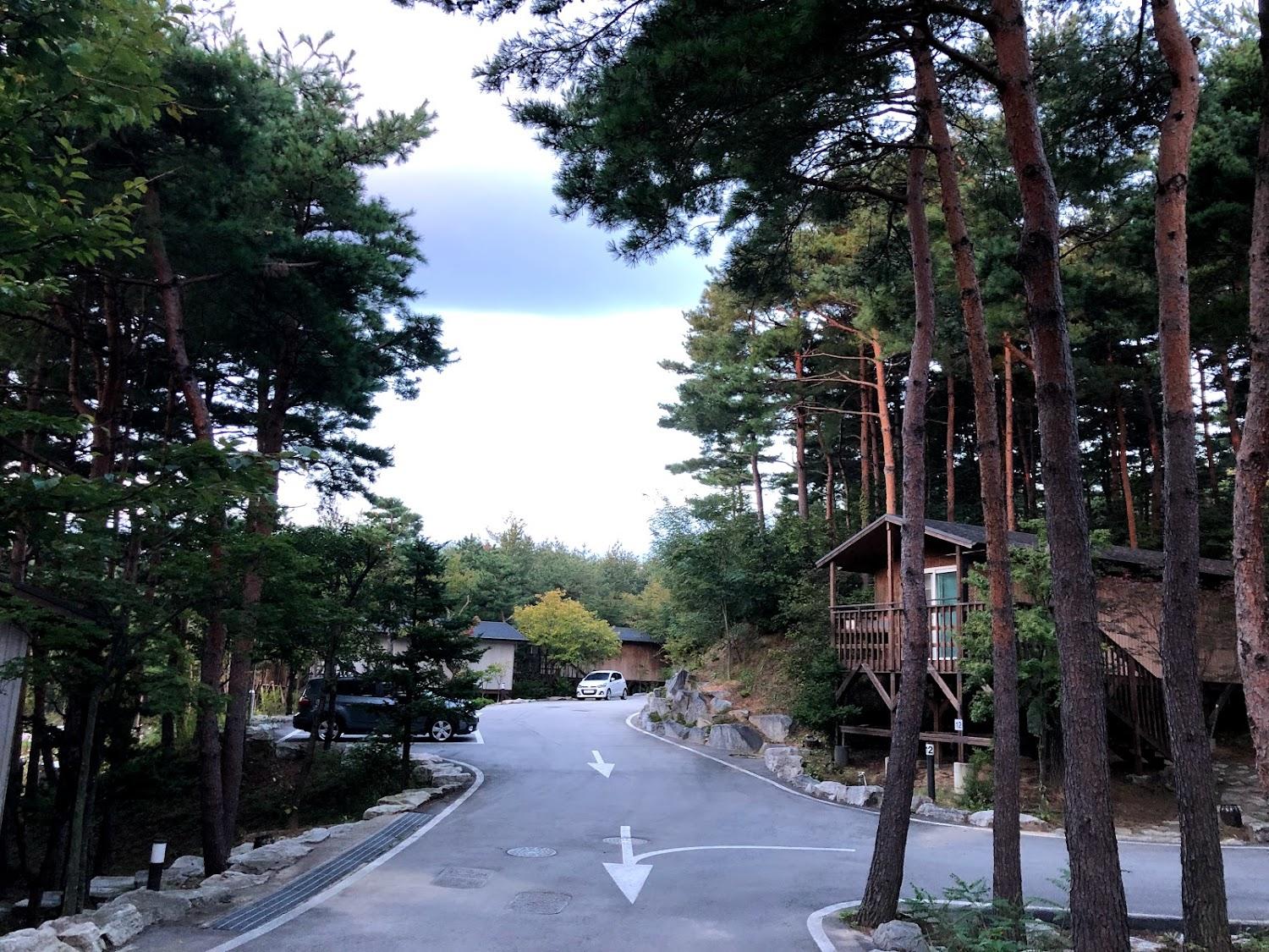 Cover Image for 주성 파인포레스트 리조트