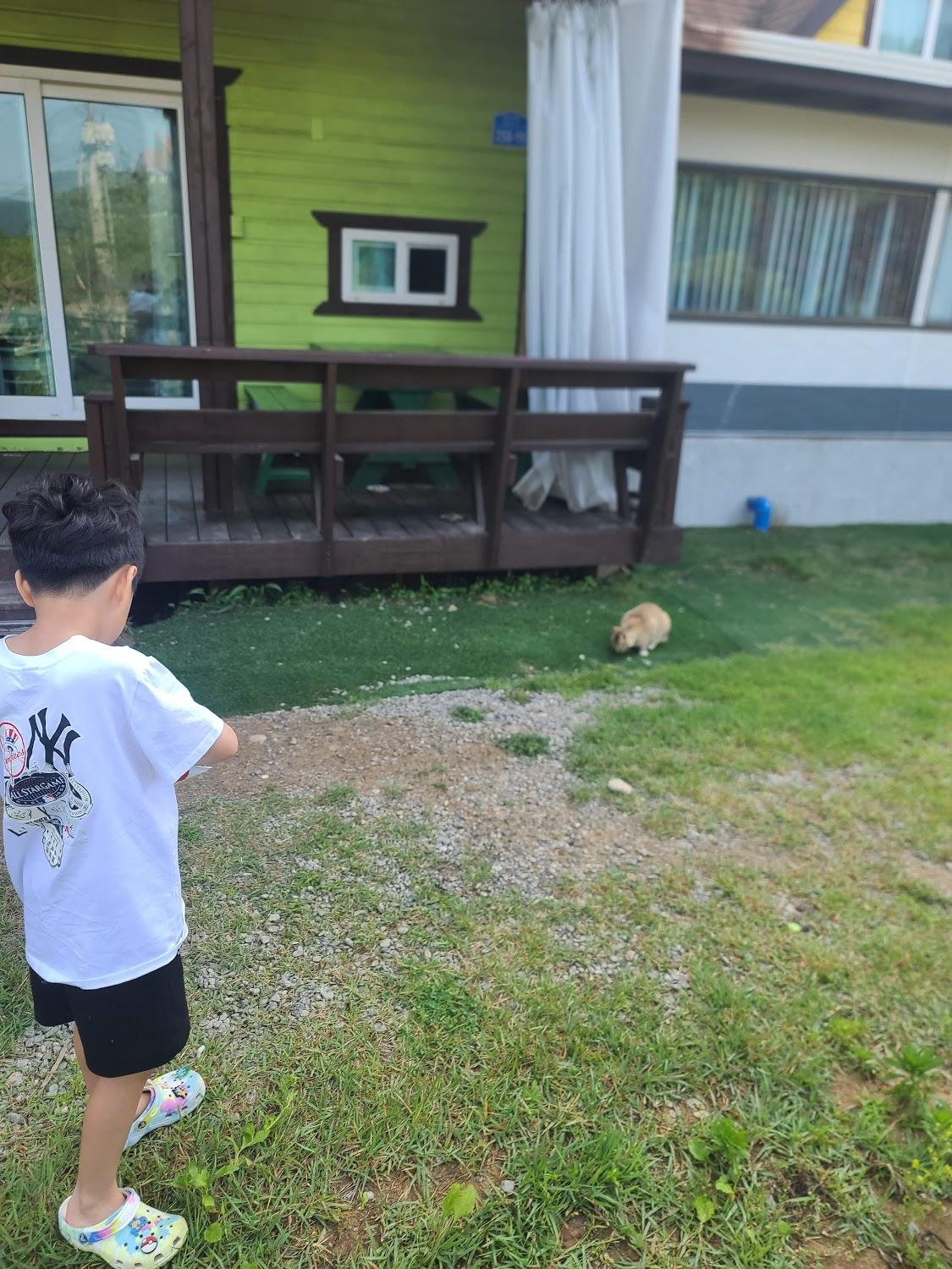 Cover Image for 별캠키즈풀빌라앤카라반