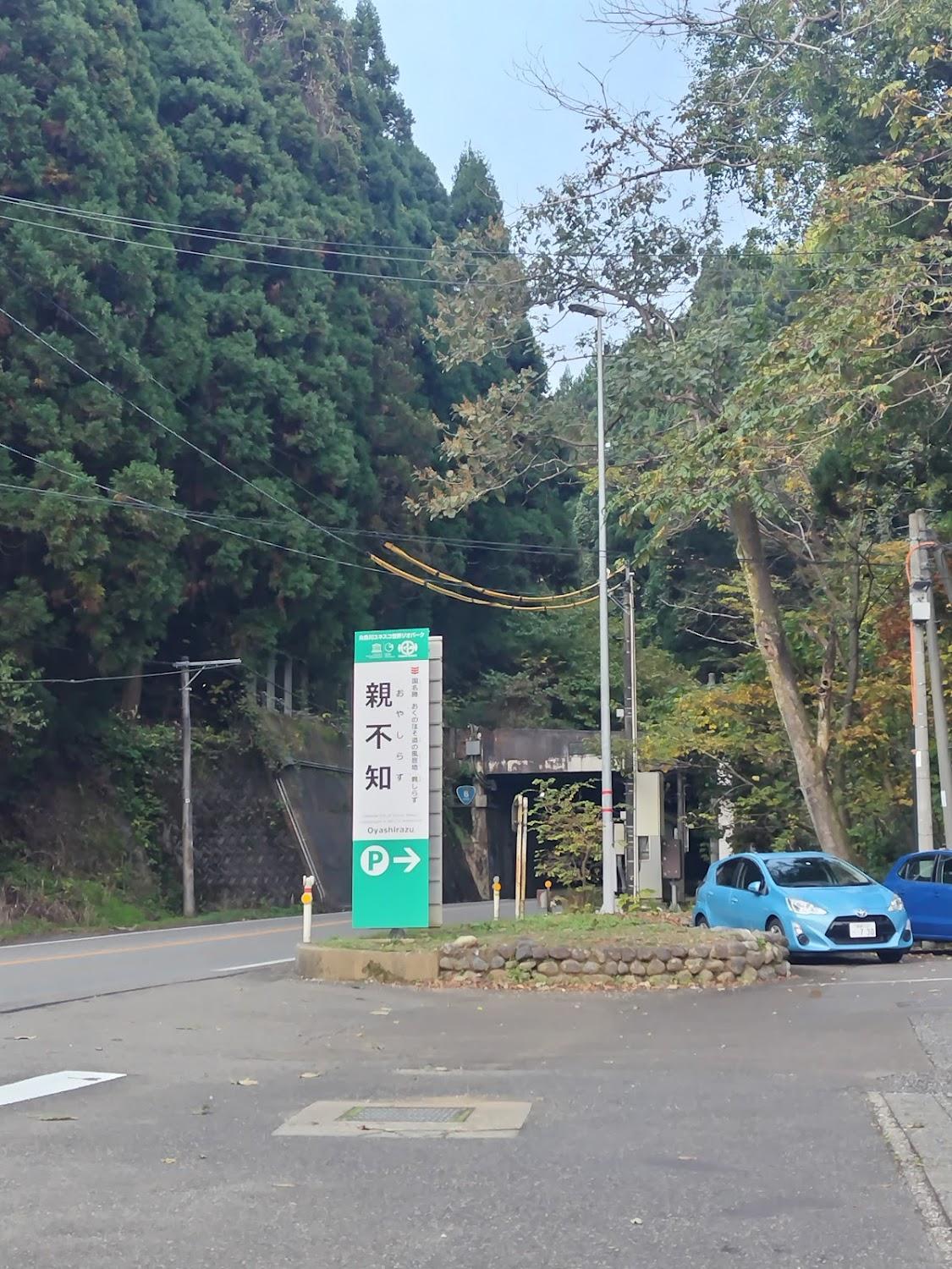 Cover Image for Oyashirazu Kanko Hotel