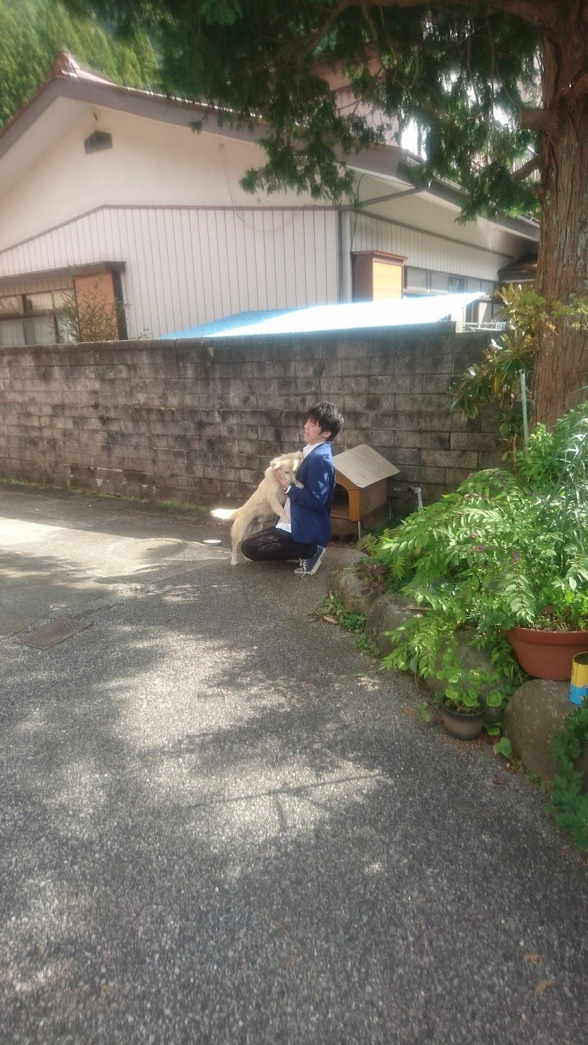 Cover Image for ひなた荘