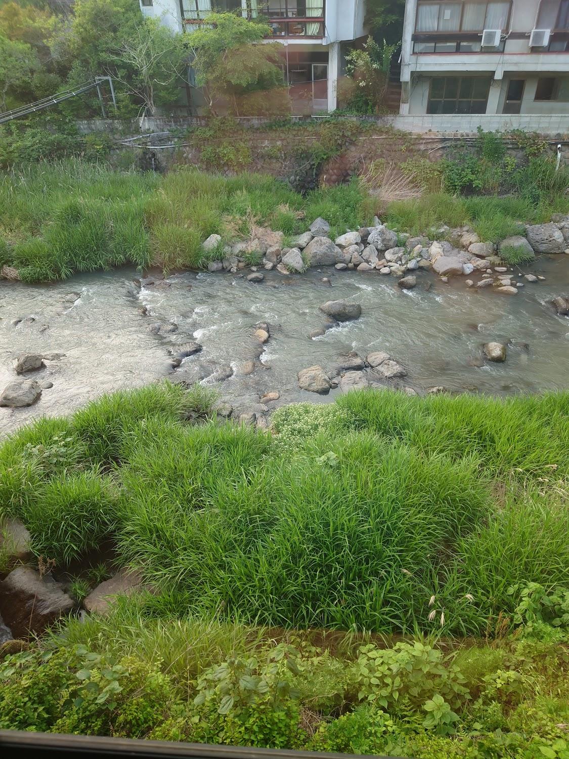 Cover Image for 宝泉寺温泉 ほたるとかじかの宿 旅館九重