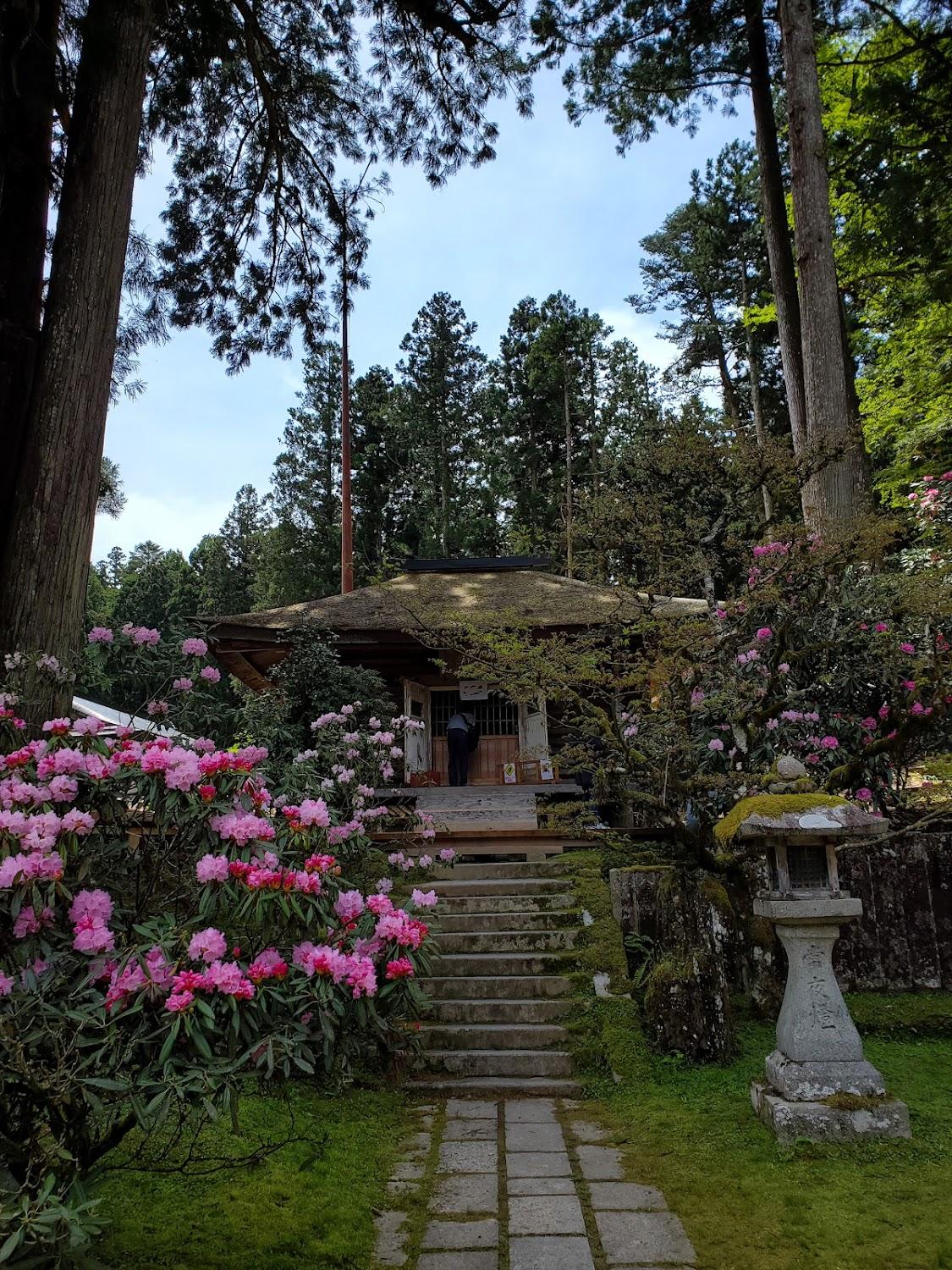 Cover Image for Kongo Sammai-in