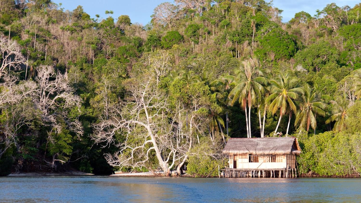 Cover Image for Sea Whip Homestay