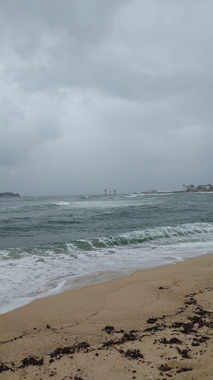 Cover Image for 해변하우스