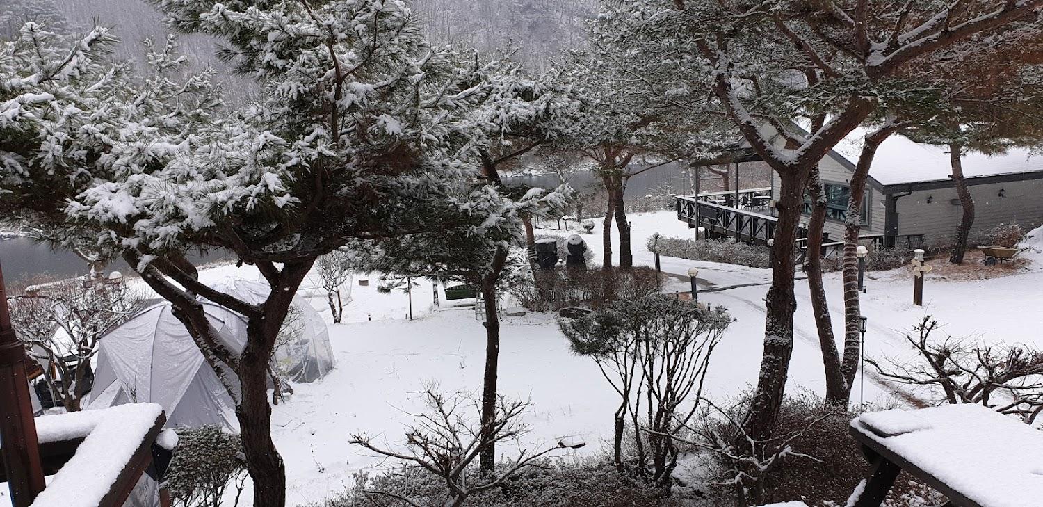 Cover Image for 고흐와해바라기