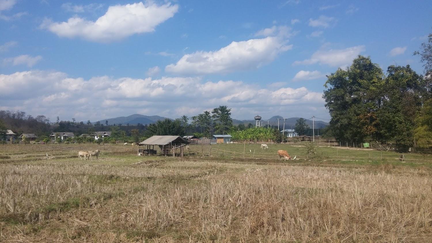 Cover Image for Suan Pin Houses