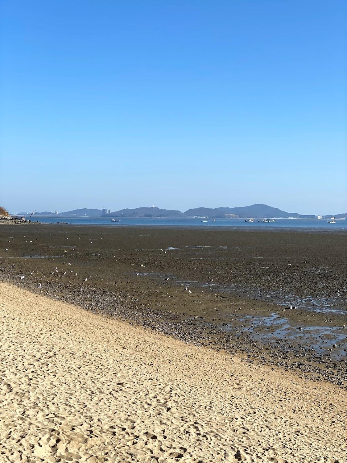Cover Image for 서해촌조개구이