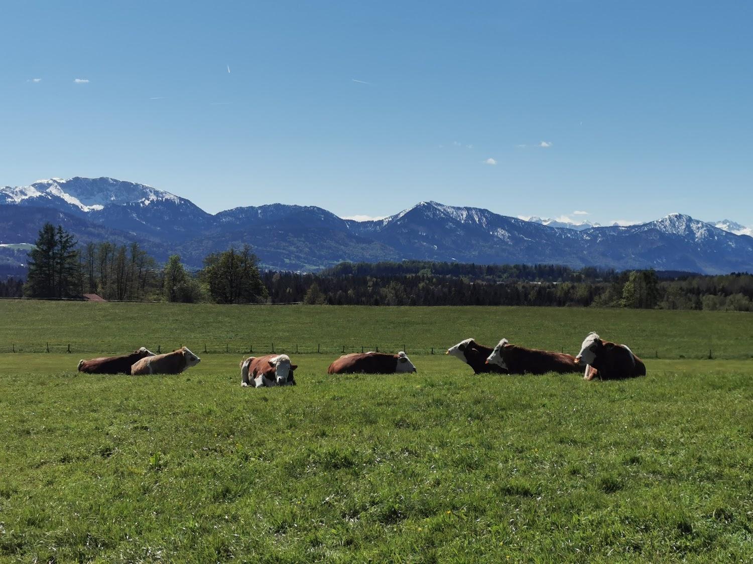 Cover Image for Ferienhof Zach