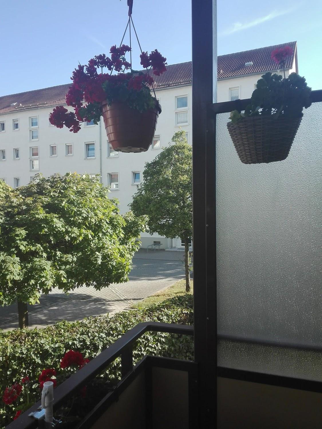Cover Image for Ferienwohnung Wolkenrasen