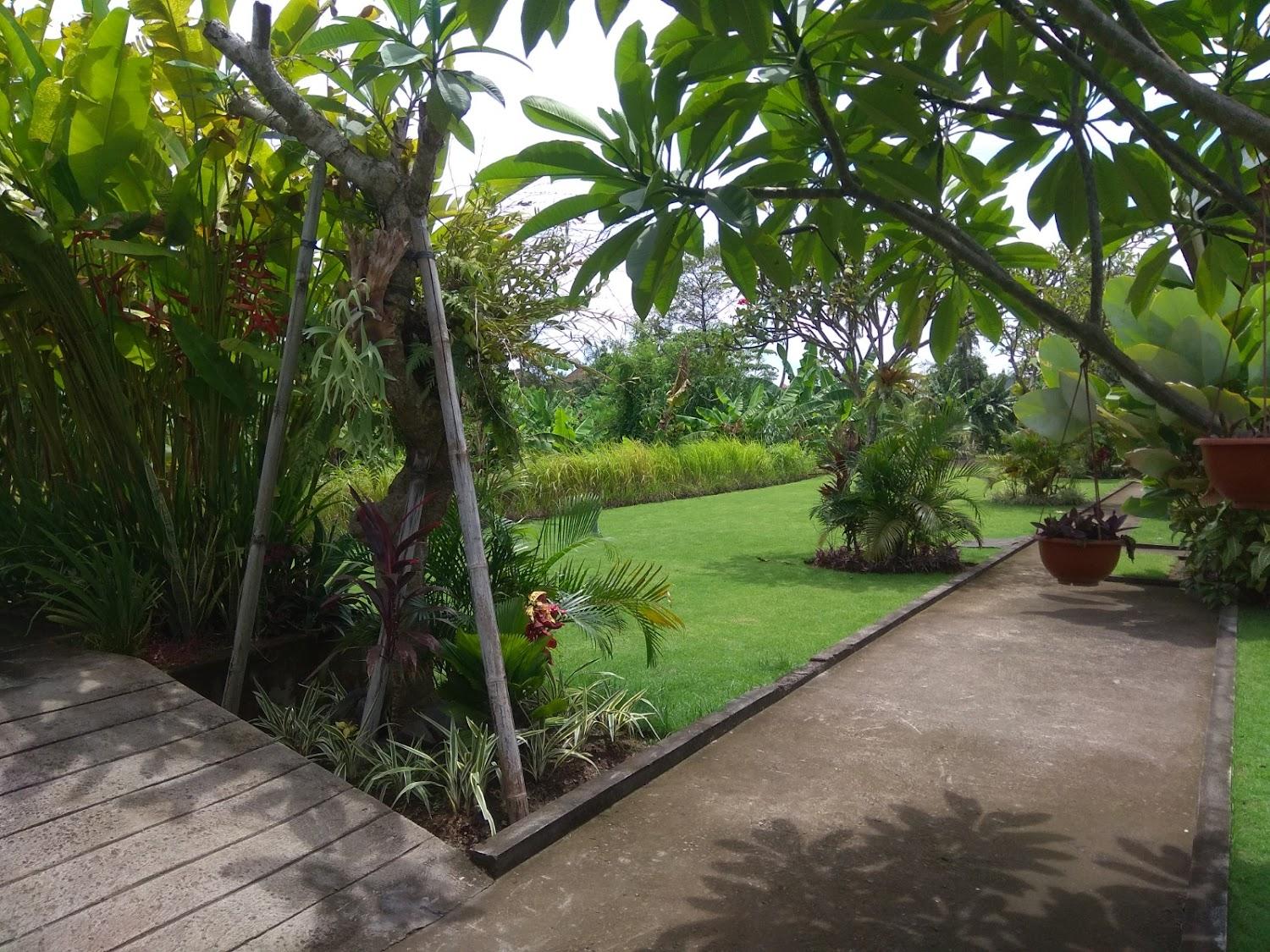 Cover Image for Tamiu Guesthouse at Keramas Beach Surf Spot