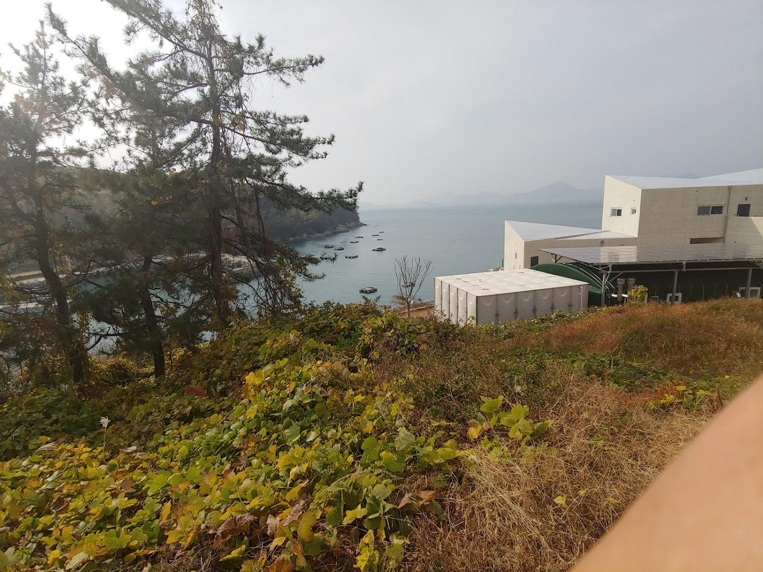 Cover Image for 모리오션