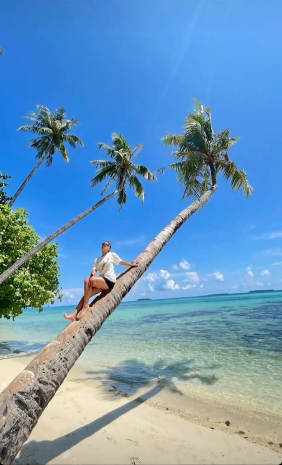 Cover Image for same same karimunjawa