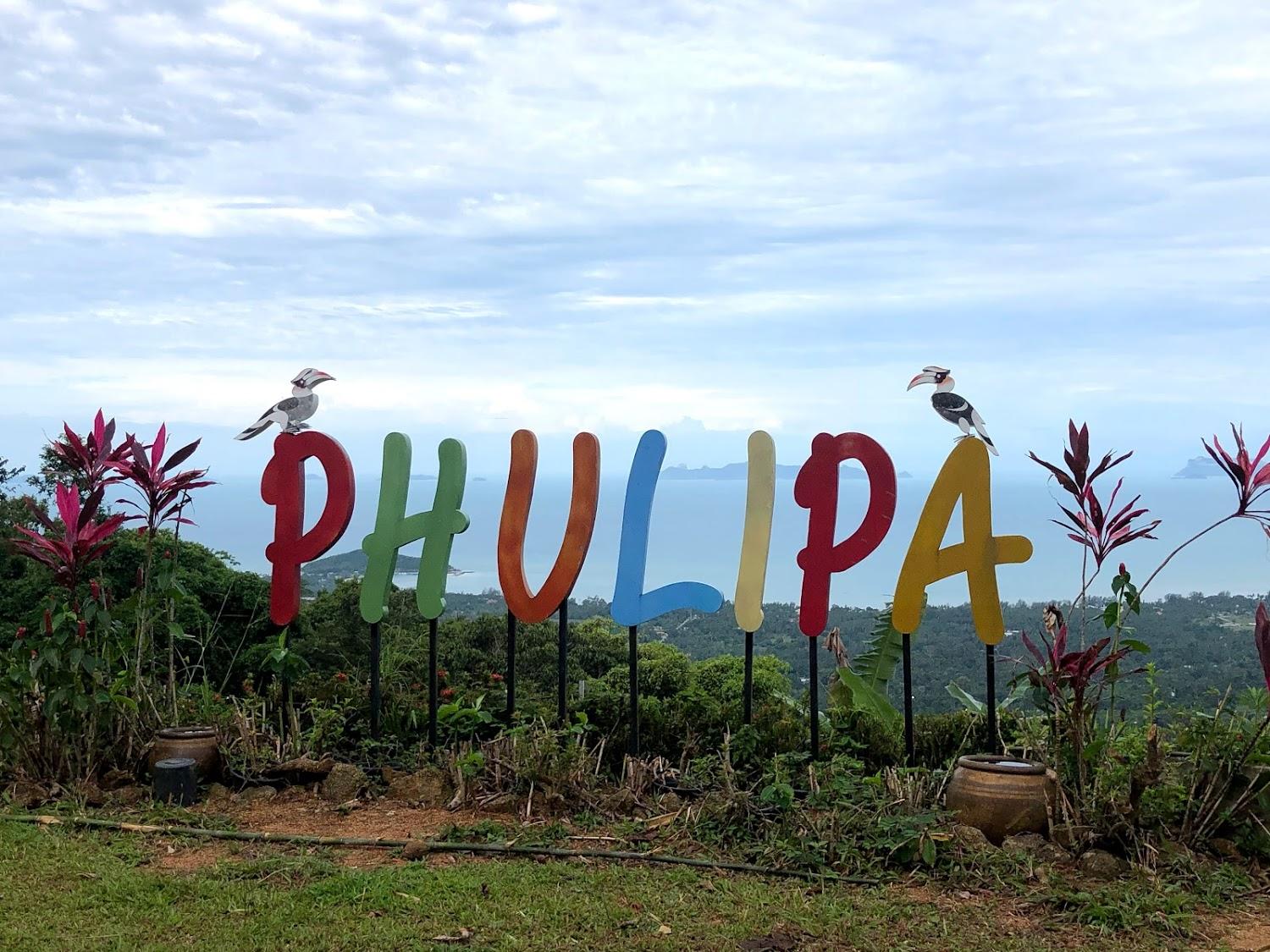 Cover Image for Phulipa Jungle Camp