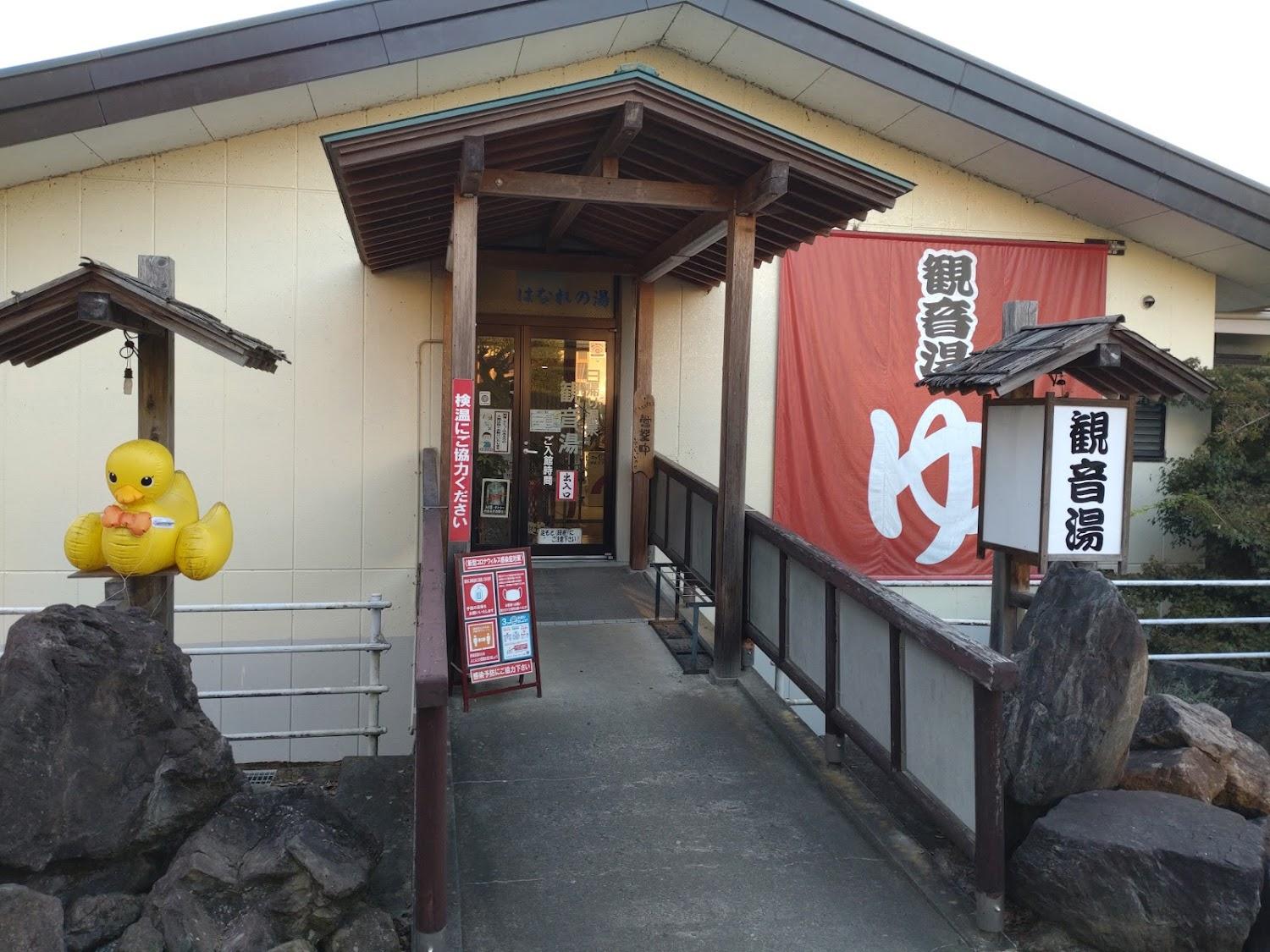 Cover Image for Nanpeidai Onsen Hotel
