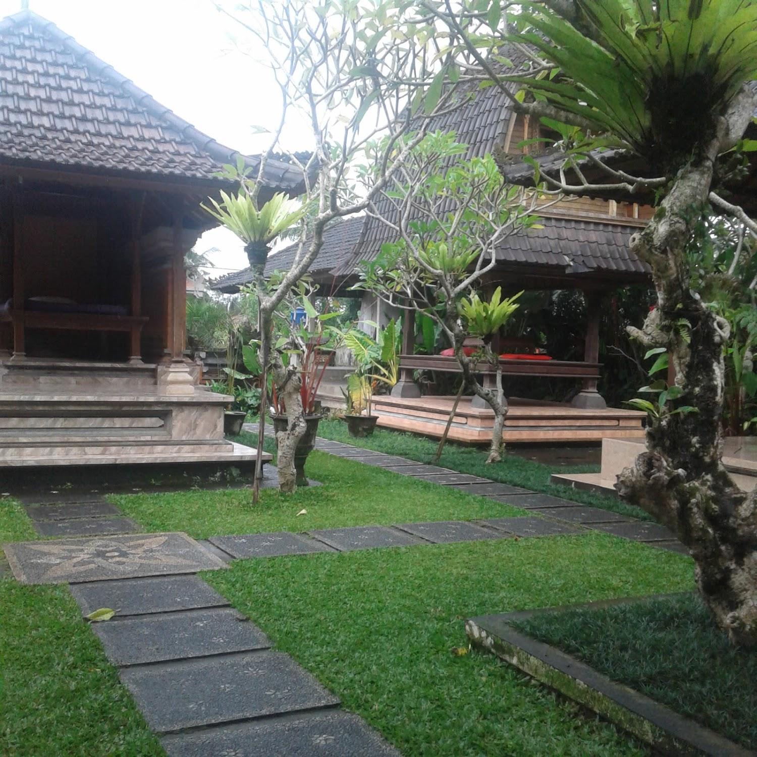 Cover Image for Nayas House