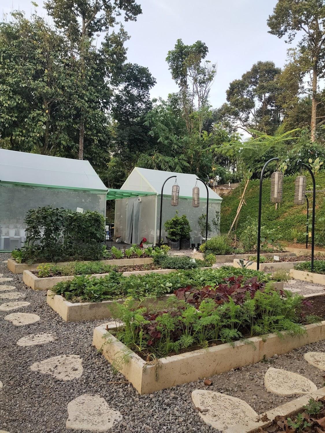 Cover Image for Boemisora