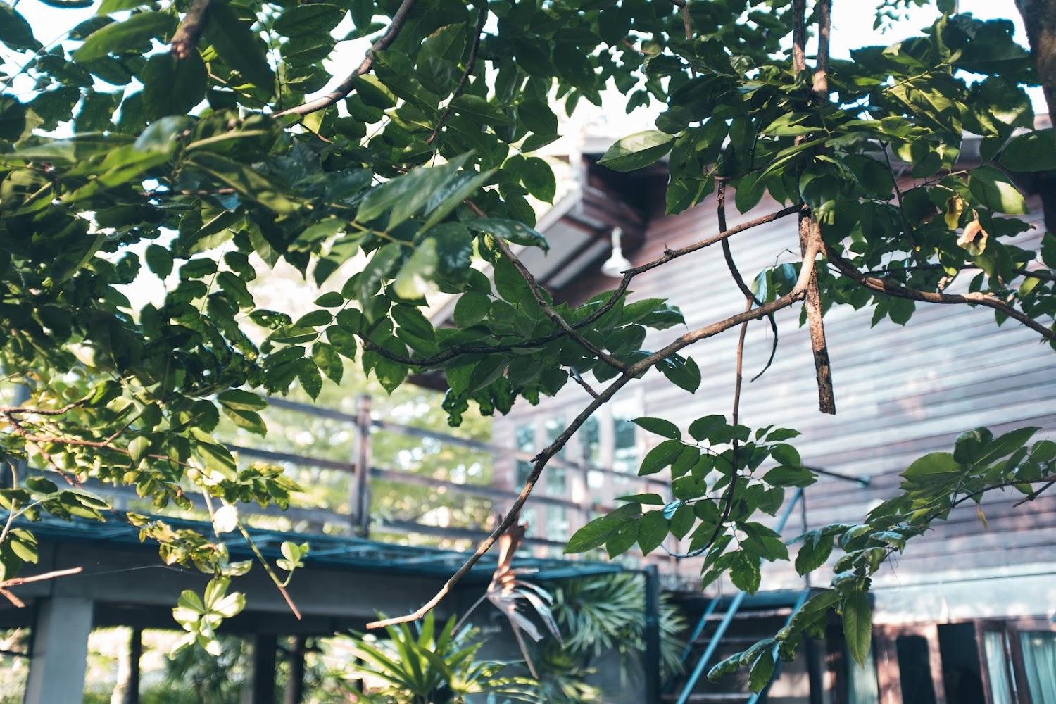 Cover Image for Pril Pai Guesthouse