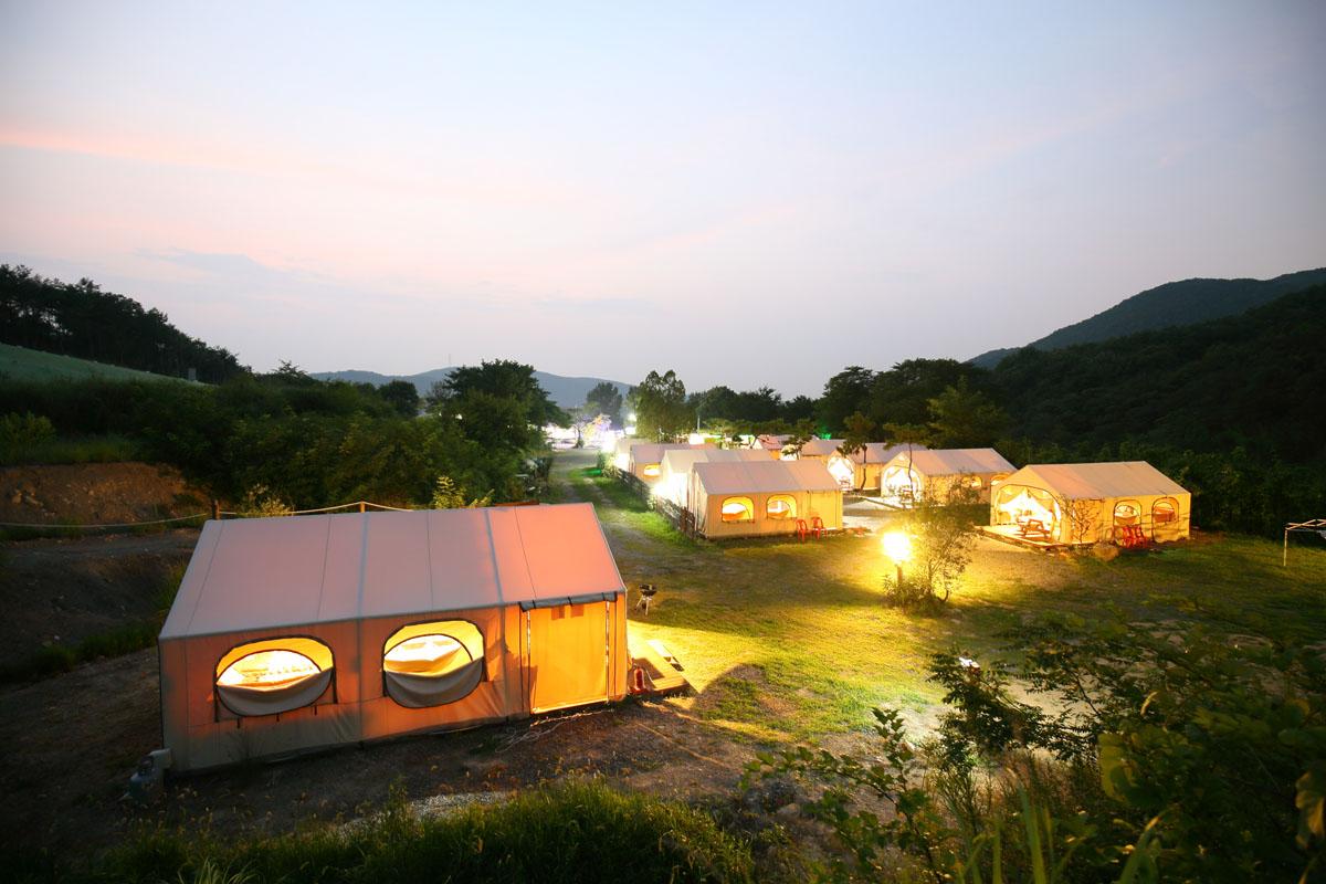 Cover Image for 별빛마루 글램핑 펜션 카라반