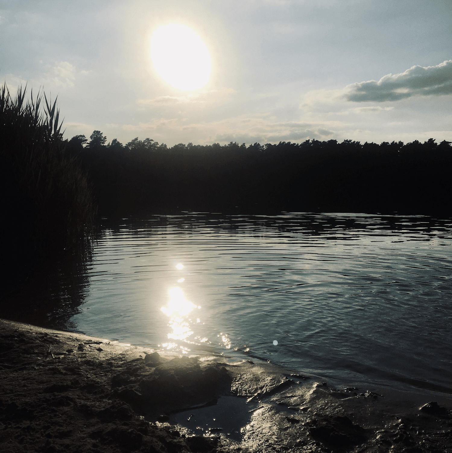 Cover Image for Dürings campsite "Am Tonsee"