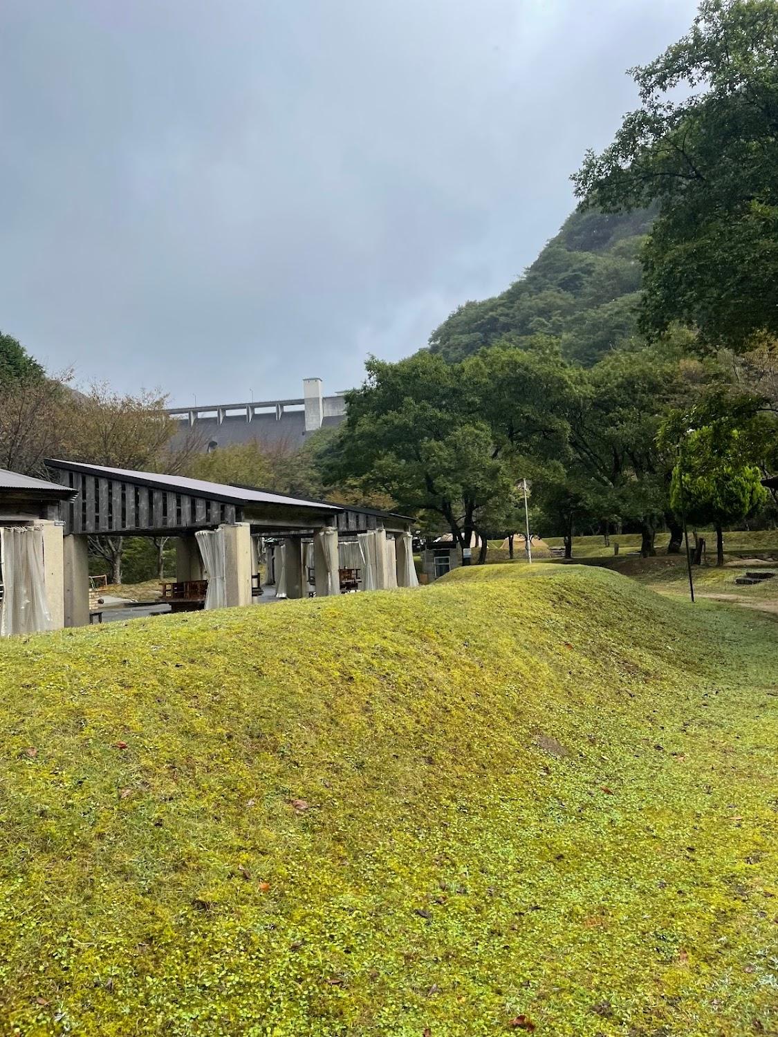 Cover Image for Nature Resort and Ravine