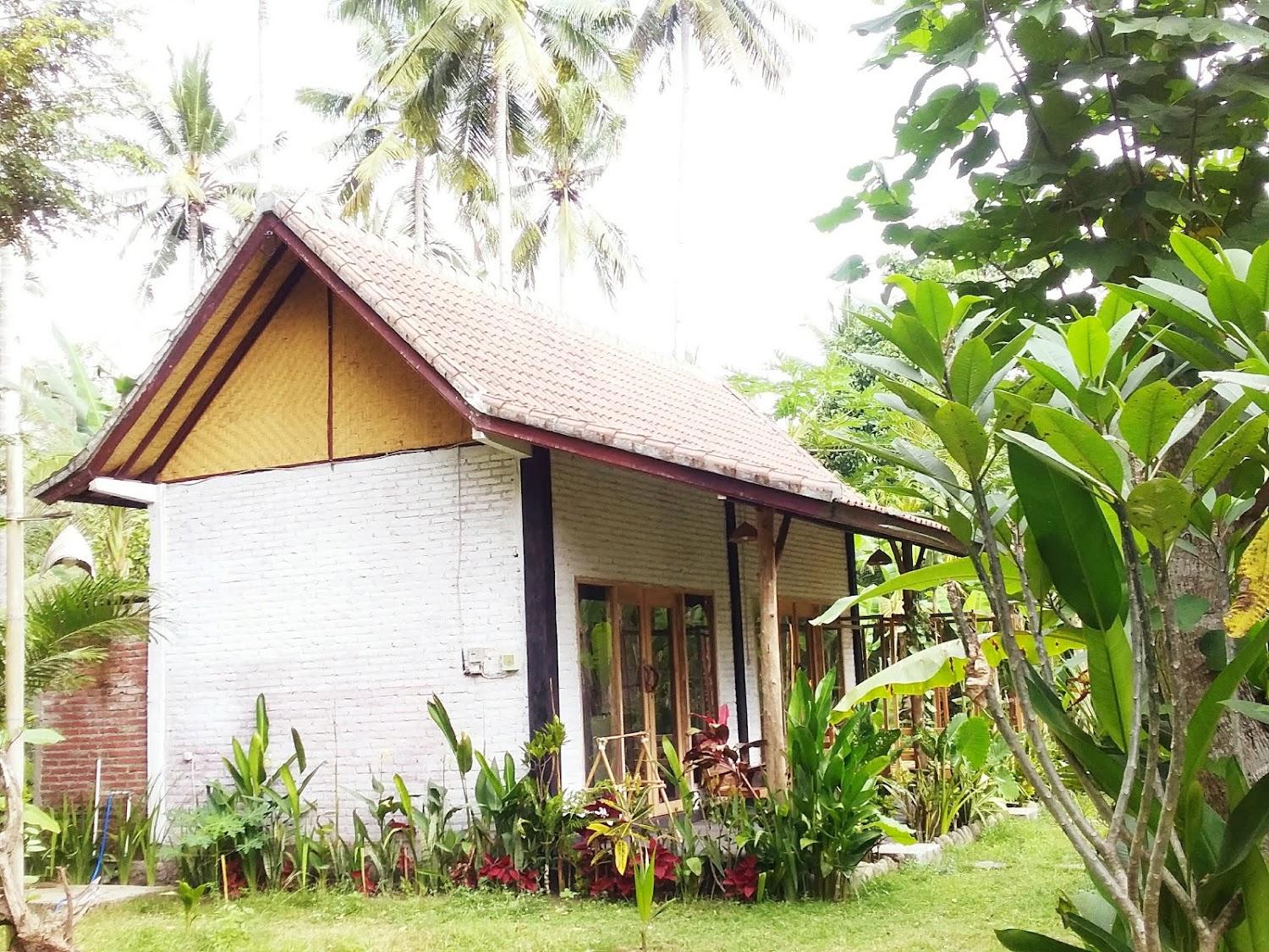 Cover Image for Jungle House - Surf & Stay