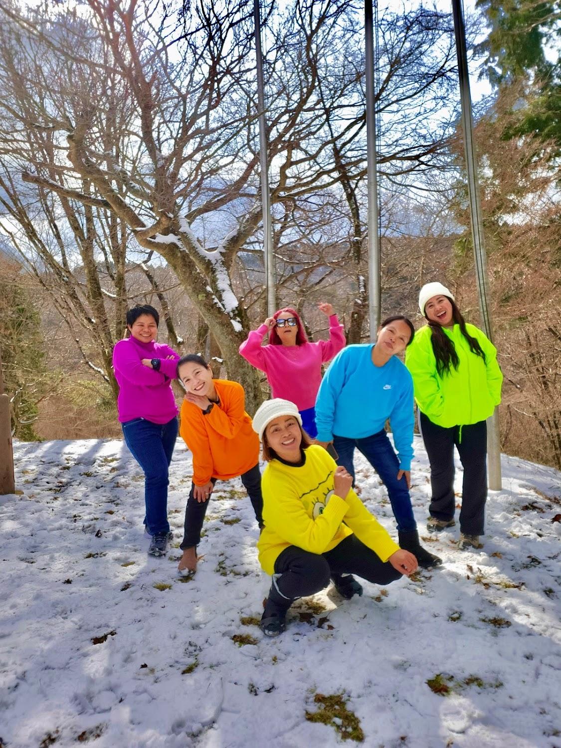 Cover Image for Camping Ground, Chihaya-Enchi Park, Osaka Prefectural Forests