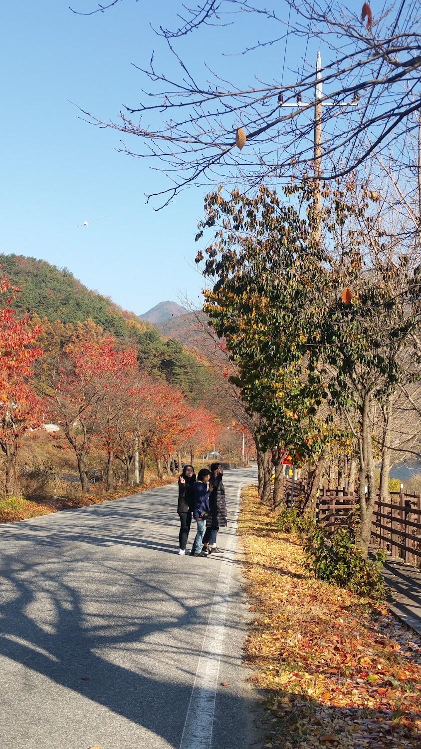 Cover Image for 산수방펜션