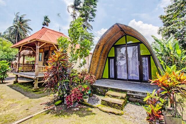 Cover Image for OYO 92354 Samalas Syariah Homestay