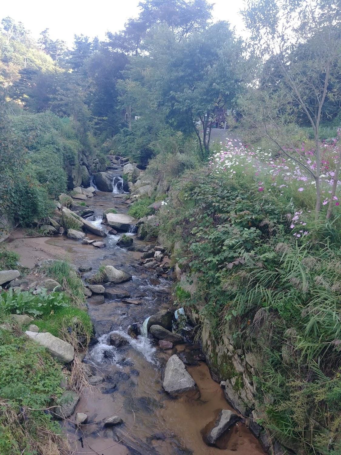 Cover Image for 청태산펜션타운