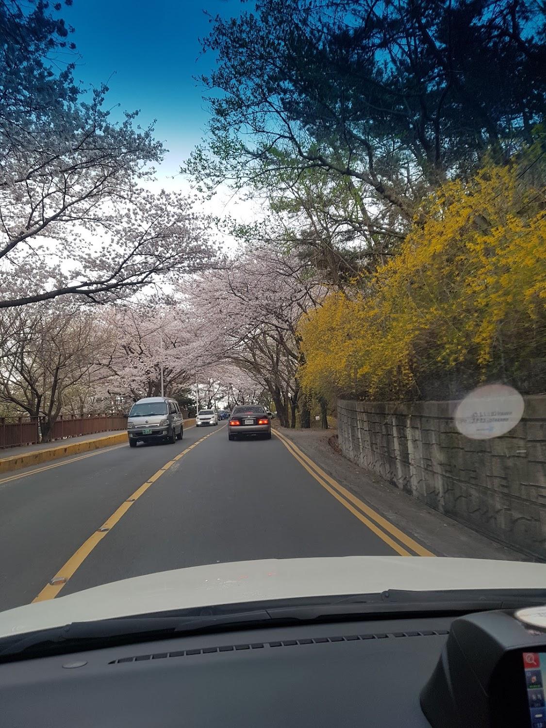 Cover Image for 더시선펜션