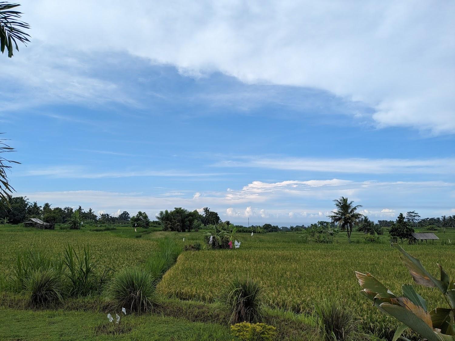Cover Image for Kubu Bakas Guest House