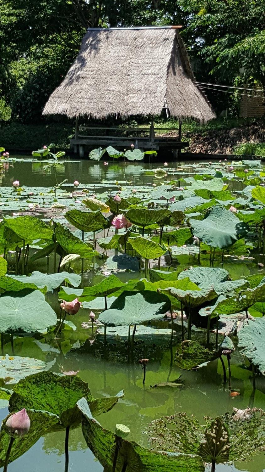 Cover Image for Le Bien Resort