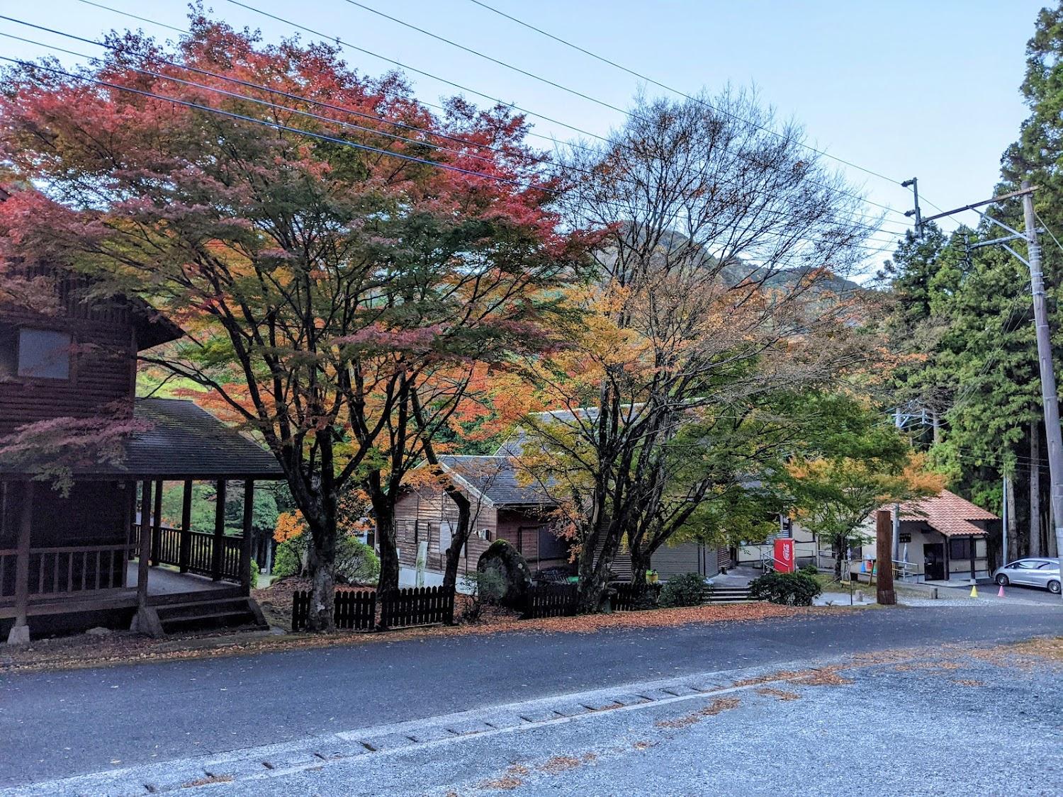 Cover Image for Makinohara Camping Ground