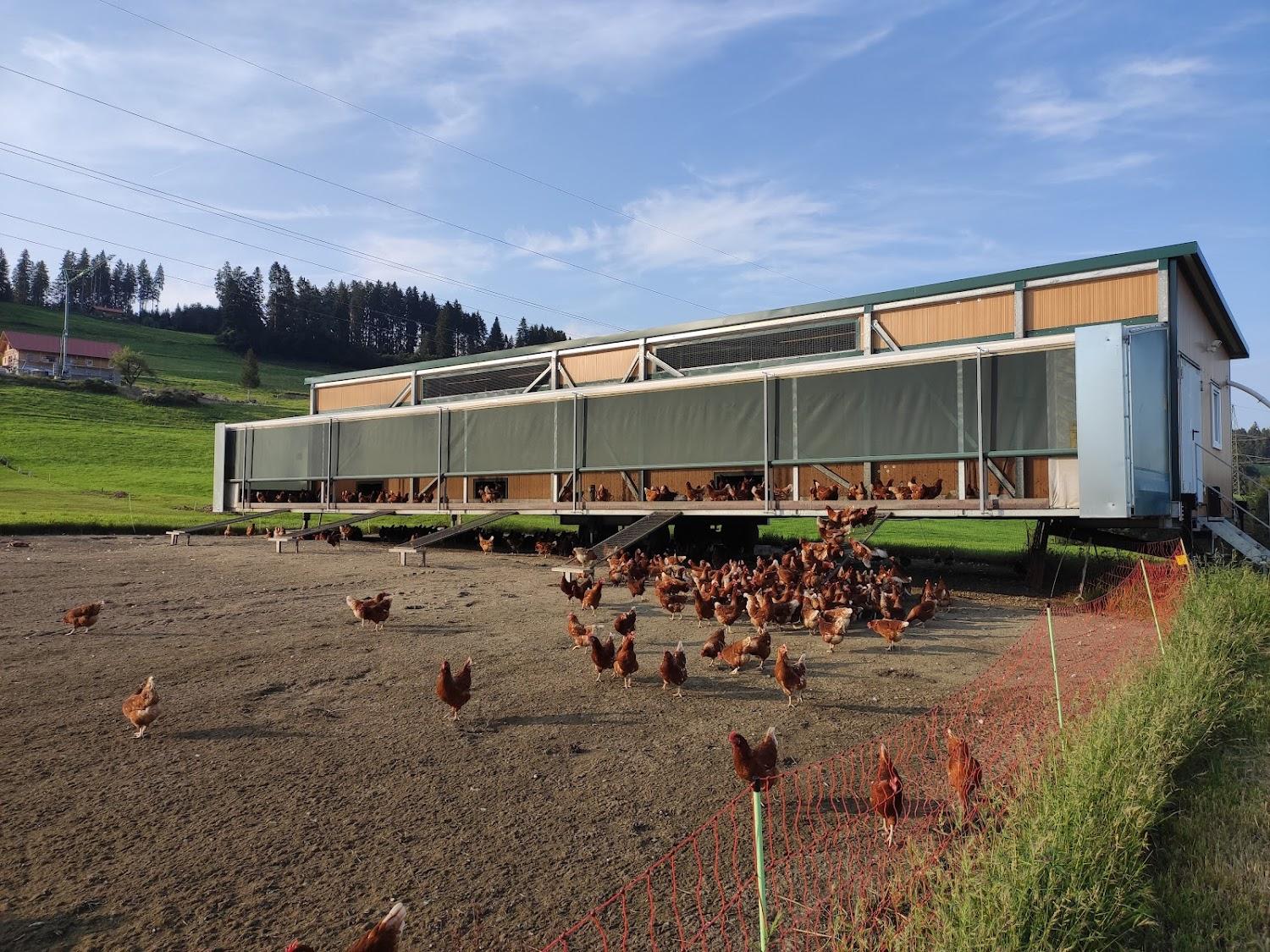 Cover Image for Der Johanneshof