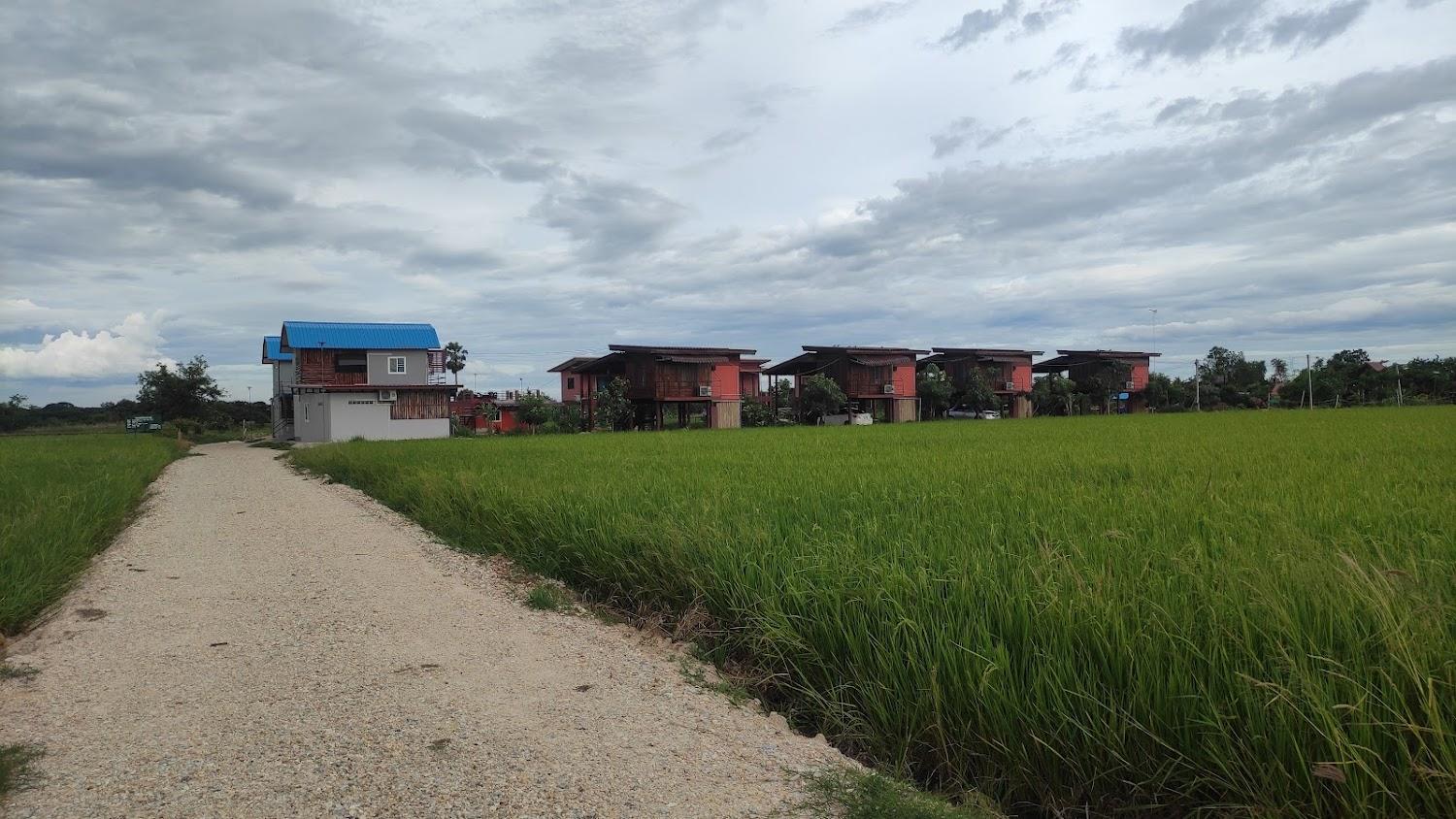 Cover Image for ทุ่งเกาะเทโพโอเค